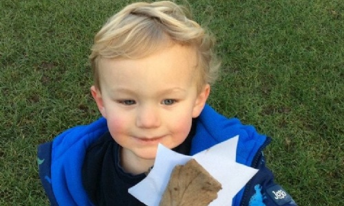 News » How to catch a star